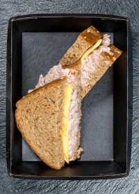 sandwich with tuna and cheddar cheese