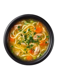 Chicken noodle soup